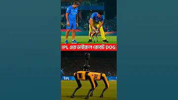 রোম রাছ্ছান ১২৩