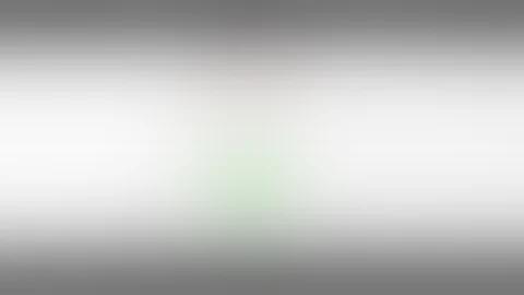 য ৩১/৭/৬৬