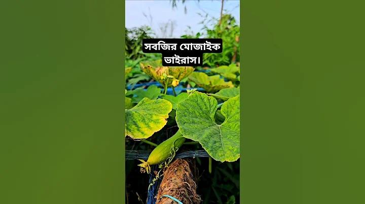 ছাত্র
