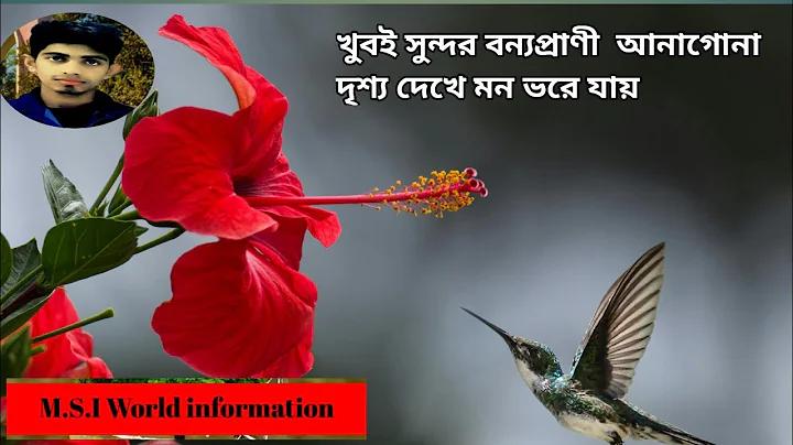 ৮ জুলাই