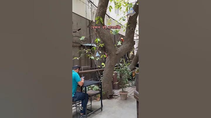 ব্যক্তিগত আচরণ কেন গুরুত্বপূর্ণ