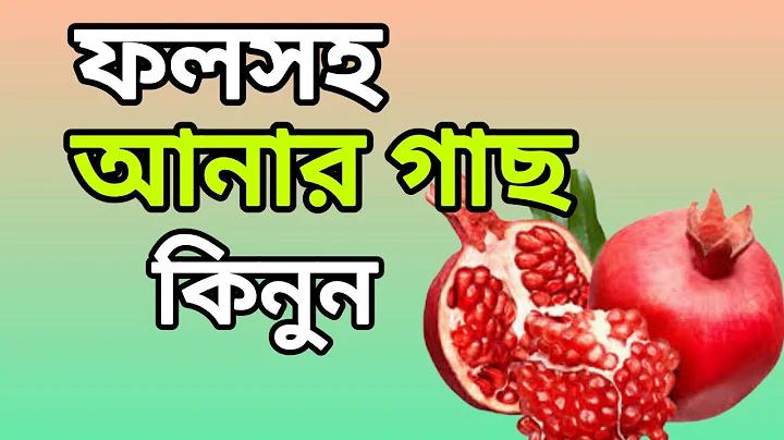 মেসেজিং অ্যাপ