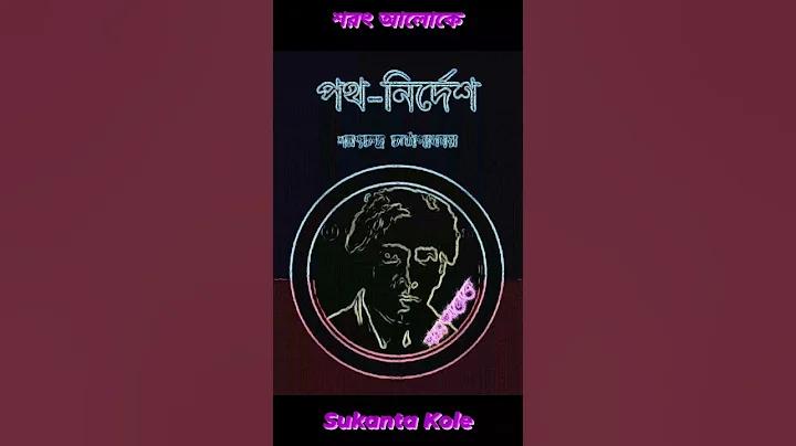 সলট ডিপোজিট-উত্তোলন ট্রু ওয়ালেট সোজা ক্রেডিট
