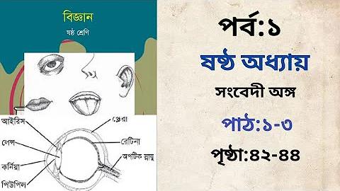 পক্কোডেং মুক্ত