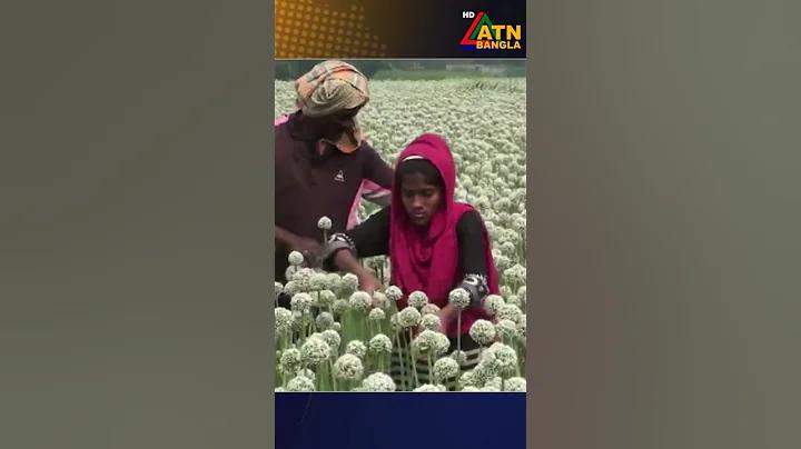 লটারি পরীক্ষা - ১ জুন ২৫৬৪
