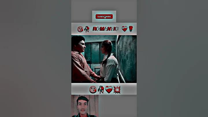 মেগাপারি