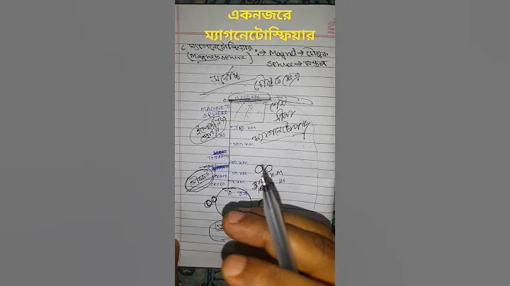 লাইভ স্পোর্টস