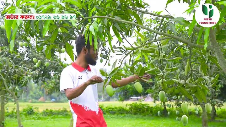 গাড়ি ভাড়ার রশিদ