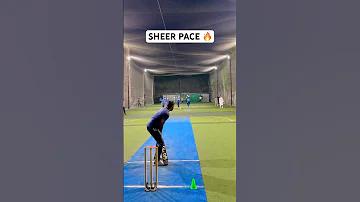 ক্রিকেট ক্রিকেট