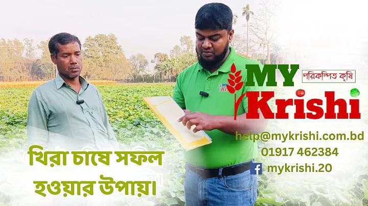 রেড বুলে অ্যালকোহল কত