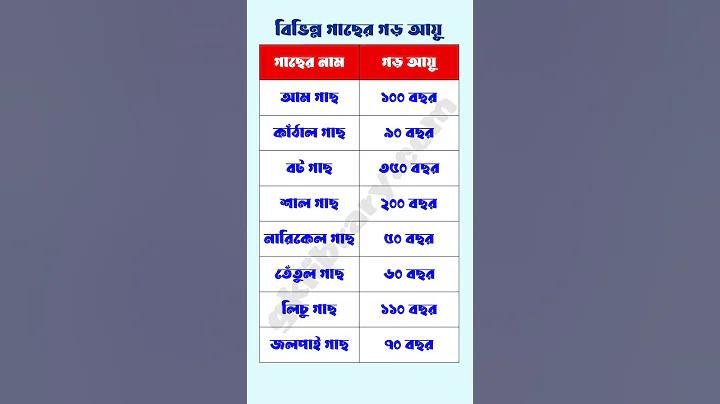 এ যেন সহজ স্বীকারোক্তি