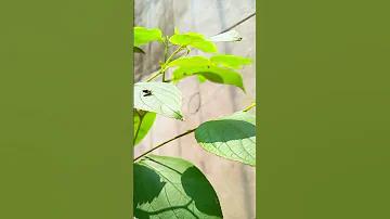 টেকসই পর্যটন কাকে বলে