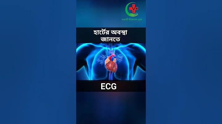 উফা ওয়ালেট