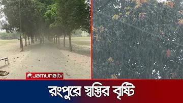 গাড়ি ঘোড়া কার্টুন