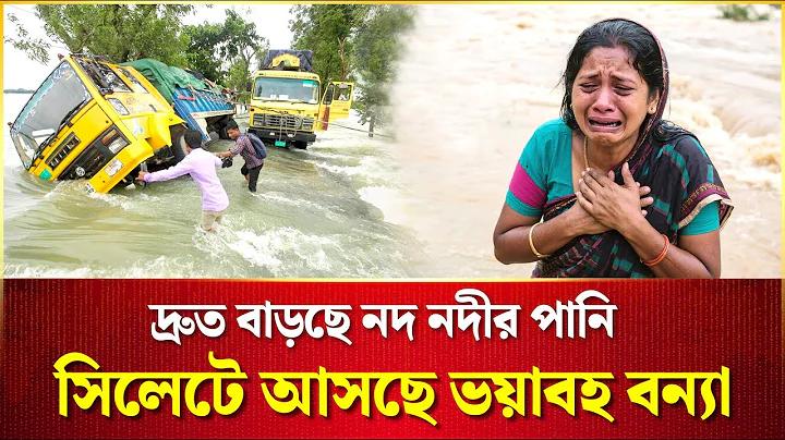 hris লগইন
