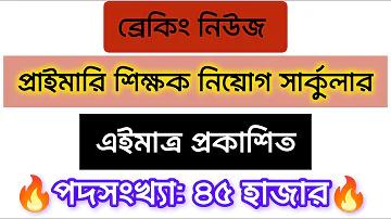 প্রমিস মানে কি