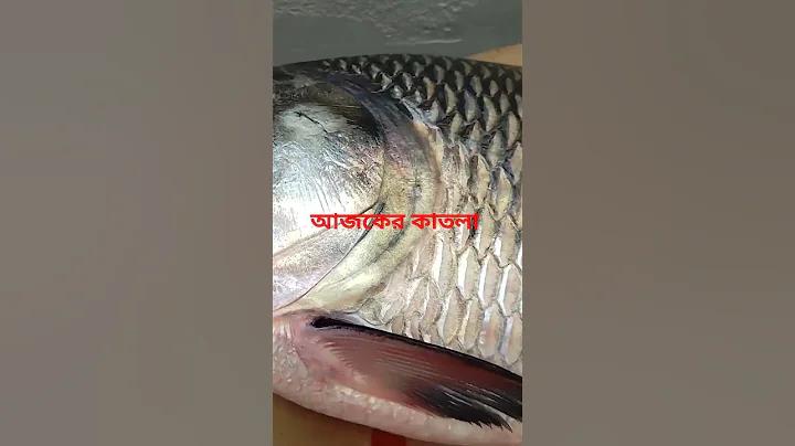 পিসি লগইন
