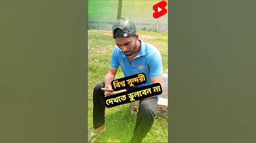 তরকারি গরম করে খেলে কি হয়