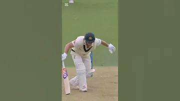 নেতারহাট পর্যটন স্পট