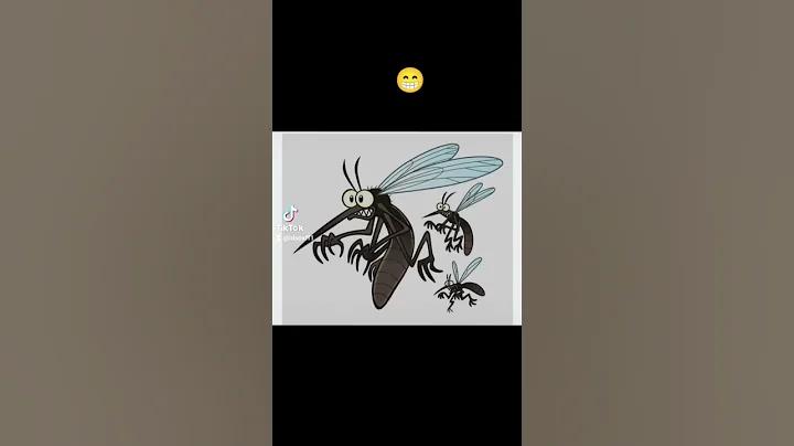 স্‌প্লে