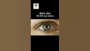 ডাকযোগে প্যান কার্ডের আবেদন কোথায় পাঠাব