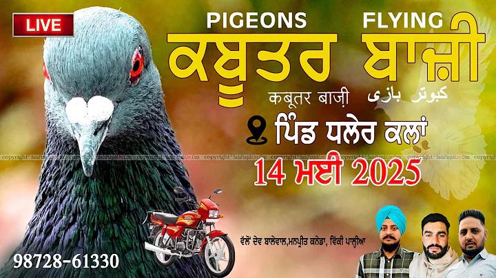 ক্রিকেটে বাংলাদেশের সেরা ১০ জয় - fajlubhai's bangla blog