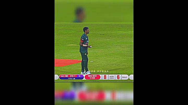 নতুন রেস্টুরেন্ট নাম বাংলা