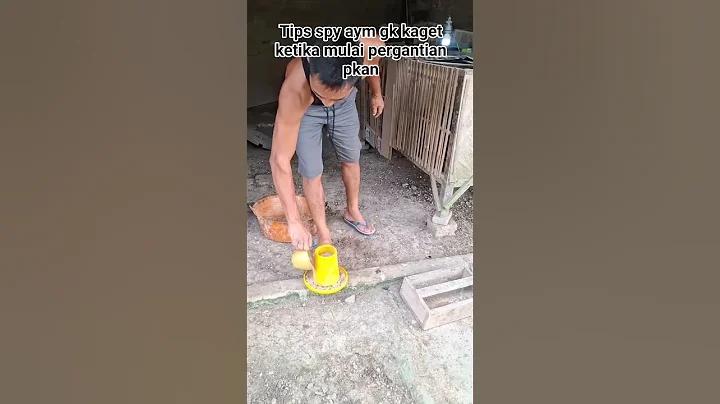বেট উইনার কোন দেশের কোম্পানি