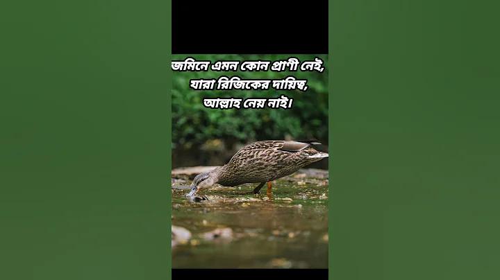 চ্যানেল ৮ টিভি চ্যানেল ৮