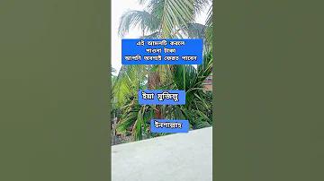 তিনটি বিবাহ রেখা
