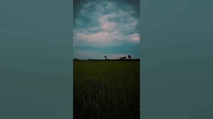 ফাল্গুনী পূর্ণিমা কাদের ধর্মীয় উৎসব