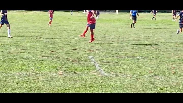 ৯ উইকেট লাইভ আপ্প ডাউনলোড
