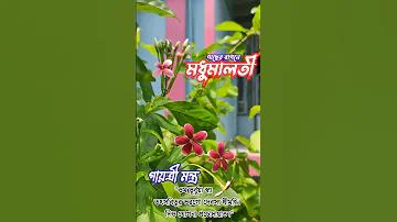 সৌন্দর্য কথা