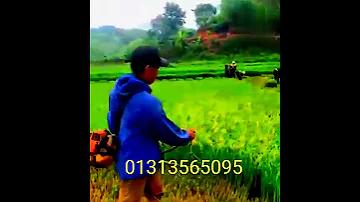 যাকাতের টাকা কোথায় দেওয়া যাবে