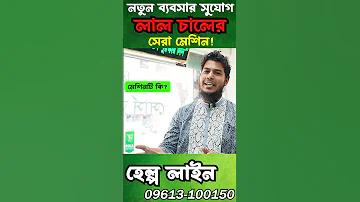 লাইভ পর্ন