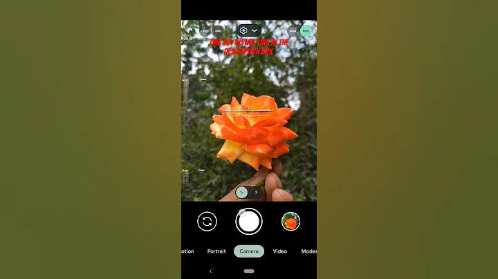 চাইনিজ রেস্টুরেন্ট