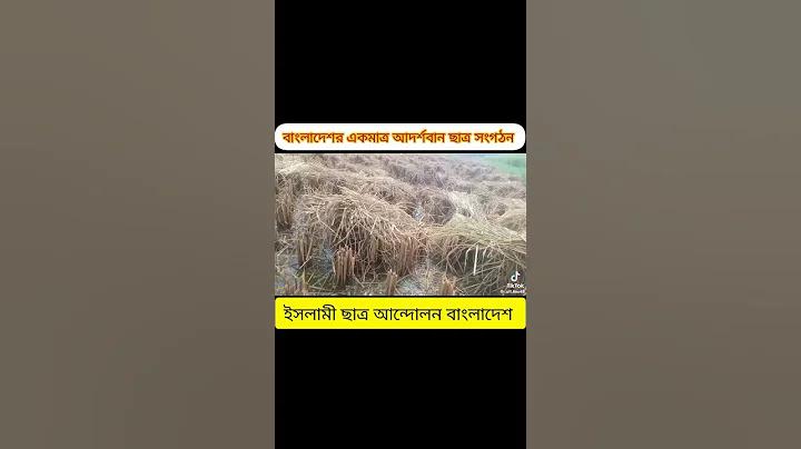 pop নগদ দ্রুত ঋণ