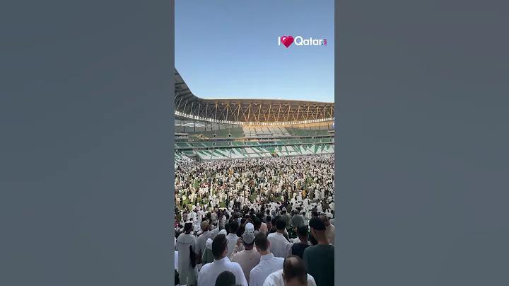 হাইলো রিমোট