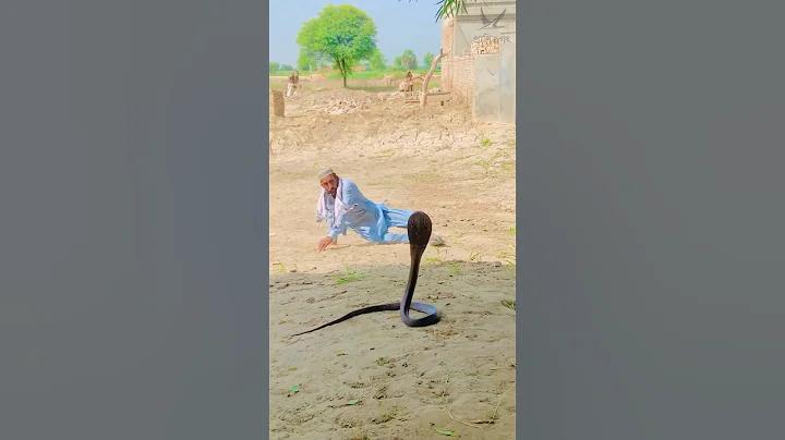 80 টাকা