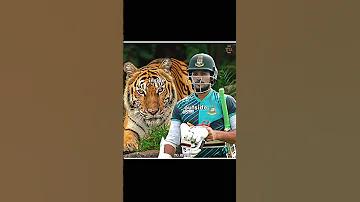 লটারি লটারি ভিআইপি