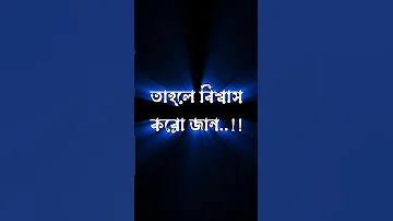 মার্কিন ইলেকশন টোটো লাইভ রেজাল্টস