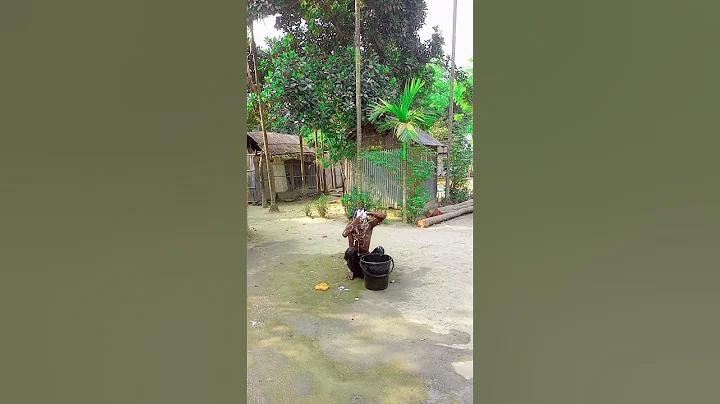 গাড়ি মোটরসাইকেল