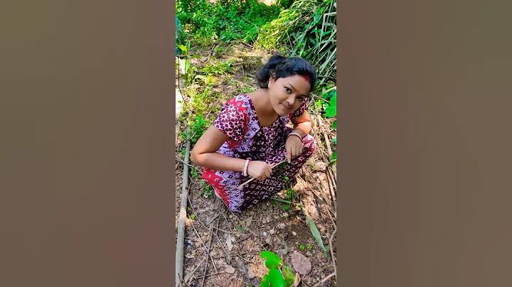 জয়া ৯ ক্যাসিনো