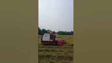 ক্যাসিন কি