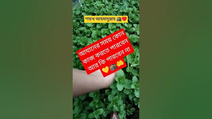 ঘটনা ইসলামিক