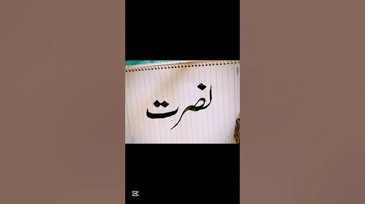 জুনিয়র ক্রিকেট স্টাম্পের মাপ কত