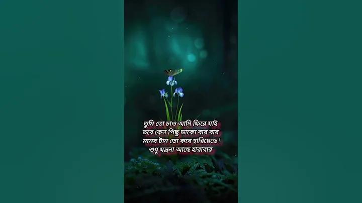 ডিপল লাইভ স্কোর ট২৪