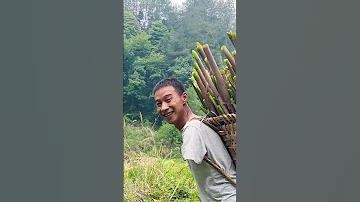 বাজি মুভি বাংলা ডাবিং