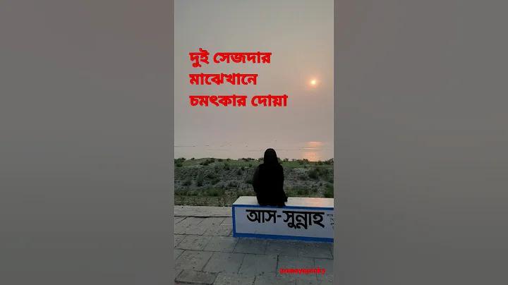 ঢাকা আন্তর্জাতিক চলচ্চিত্র উৎসব শুরু