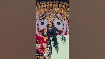 বাক্কারা খেলায় লভ্যাংশ